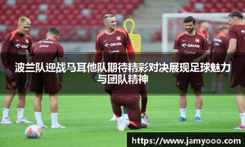 摩根综合体育官网